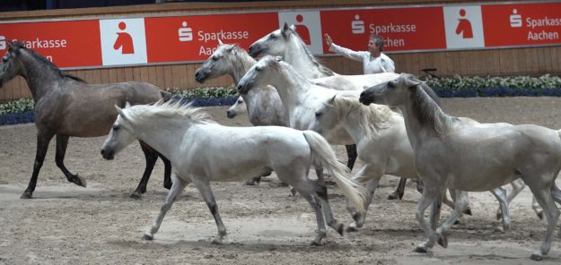 Wir Maachen CHIO 2019