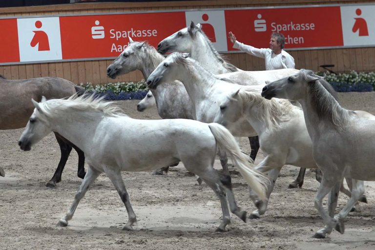 Wir Maachen CHIO 2019